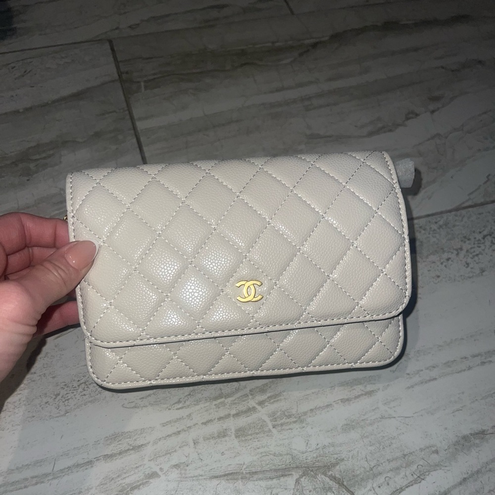 Chanel’s mall nude bag hand me downs